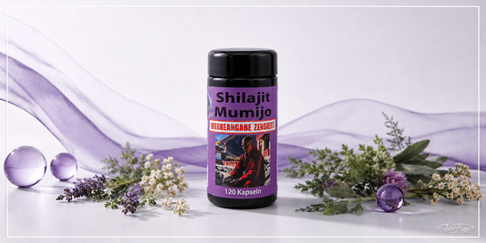 Shilajit Mumijo – Herkunft, Inhaltsstoffe und Anwendung