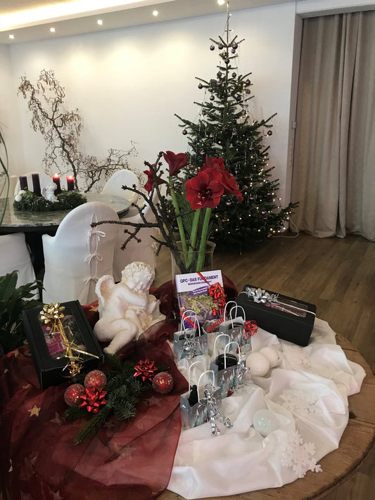 Beitragsbild: Weihnachtsgeschenke im Shop