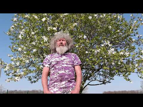 Video: Neues von Robert Franz